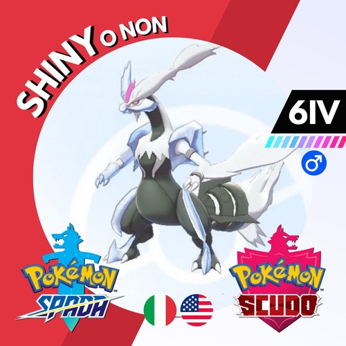 Kyurem bianco shiny non - o, iv