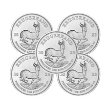 Lotto di 5 - 2023 1 oz