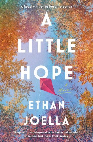 Little hope a novel - hope:,
