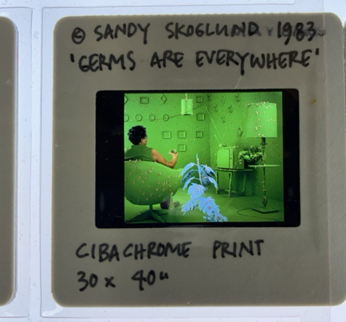 Sandy skoglund diapositive - 20,