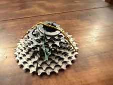 Pignone Campagnolo Super