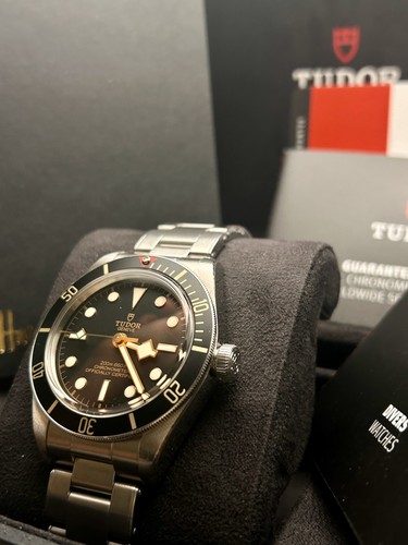 Tudor black bay - bay, full