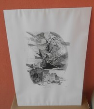 GIACOMO SOFFIANTINO ACQUAFORTE