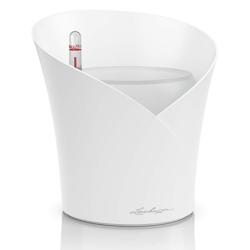 Vaso orchidea bianco - vaso, art