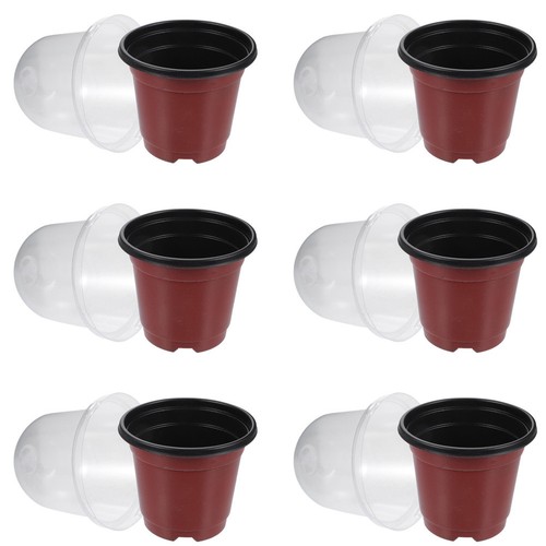 Sets humidity dome - vaso, da