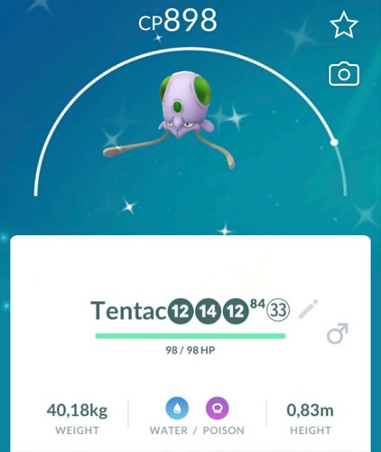 Pokemon✨Tentacool