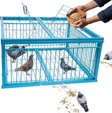 Trappola per piccioni walk-in