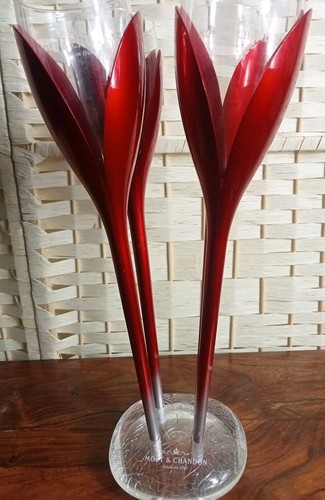 Bicchieri eleganti moet - bicchieri,