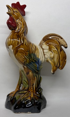 Raro soggetto gallo - raro,