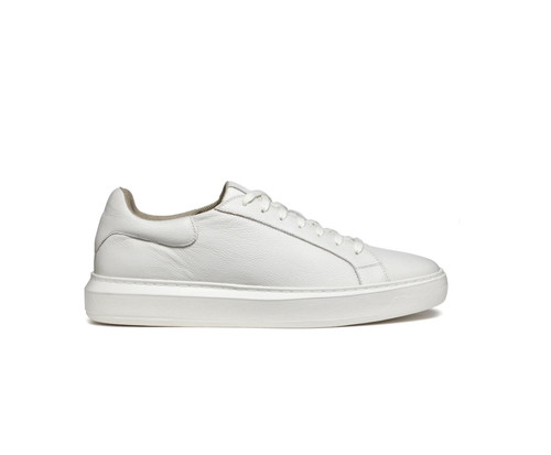 Scarpe geox deiven uomo - deiven,