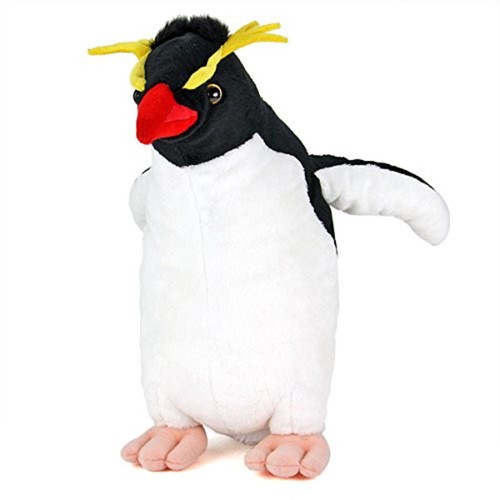 Pinguino rockhopper vero - pinguino,