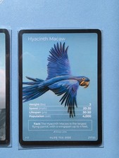 Life TCG - Full Art 27 -