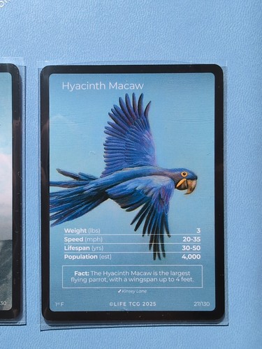 Life tcg full - 27,