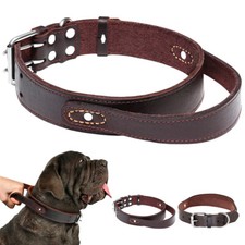 Collari per Cani in Pelle
