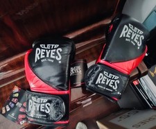 Cleto Reyes gloves, 8 oz, with