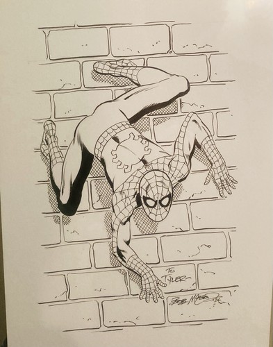 Spider man sketch - sketch, commission
