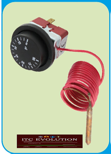 Termostato regolabile per