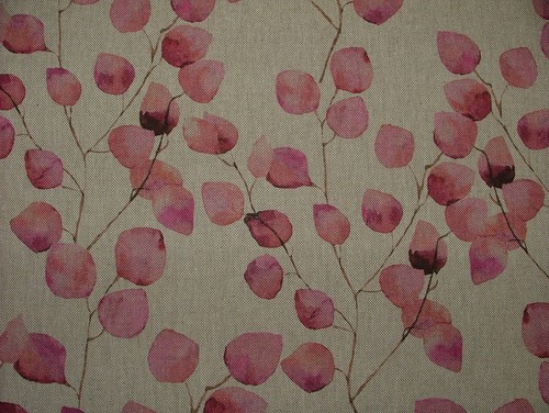 Eucalipto albero foglia rosa - albero,