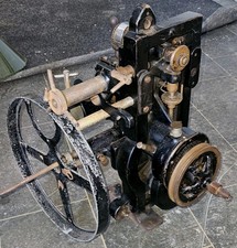 Kalee modello indomabile n