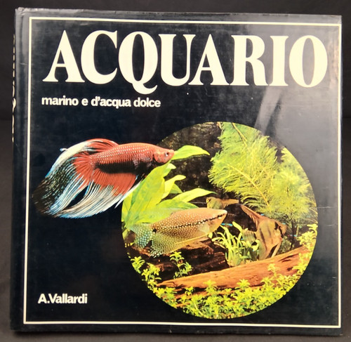Acquario marino acqua - acquario, e