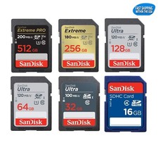 Lotto schede SD Sandisk 16 GB