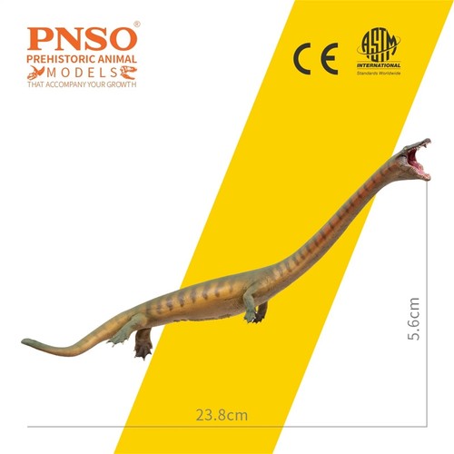 Nuovo pnso - nuovo,