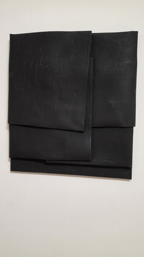 Cesare berlingeri - cesare,