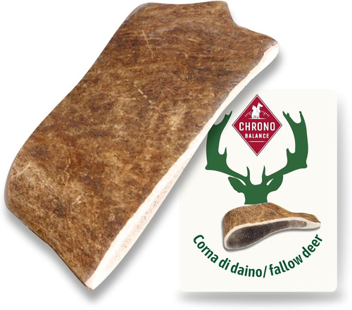 Corno cervo daino - -l,