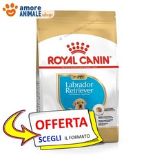 Royal Canin Dog → Puppy
