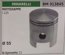 PISTONE COMPLETO SEGMENTI E