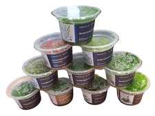 Piante per acquario in vitro