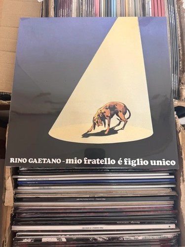 Rino gaetano mio - gaetano, È
