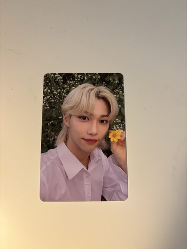 Felix noeasy stray kids - stray,
