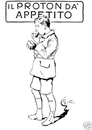 Guglielmo ciardi - guglielmo,