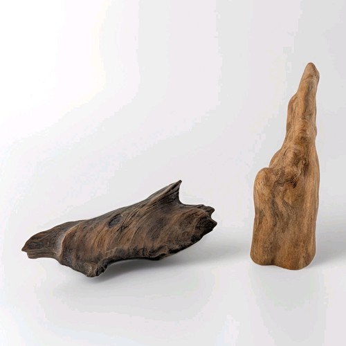 Decorazione legno alla deriva
