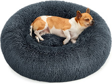 Cuccia cane interno - cane, interno,