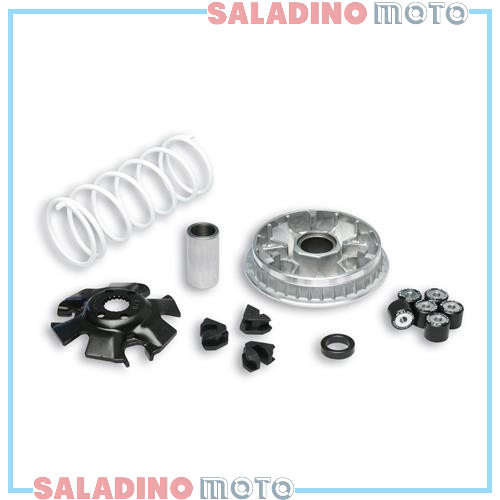 Variatore malossi multivar - variatore,