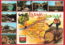 44 LA ROUTE DU MUSCADET