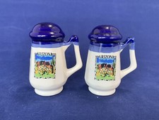 Vintage Arizona Mug Stein Salt