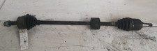 46308161 Semialbero ant