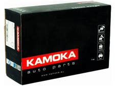 PINZA FRENO SINISTRA