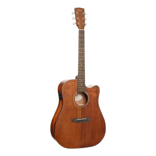 Chitarra elettrica acustica