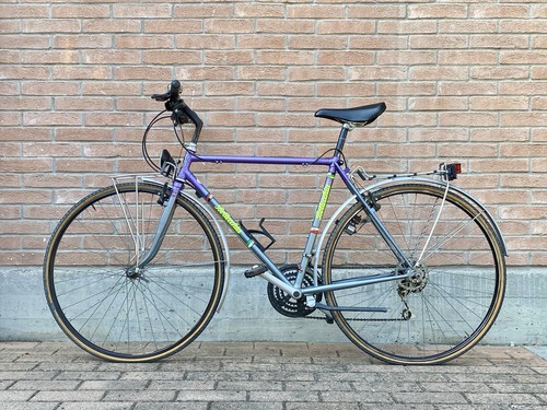 Bicicletta bottecchia - bicicletta,