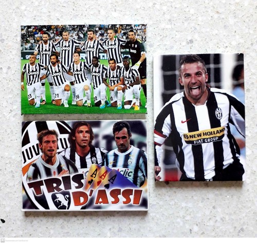 Calamite juventus - 3,