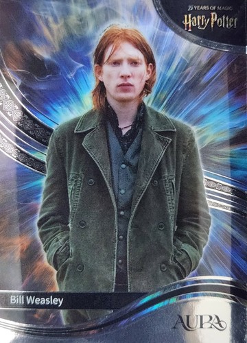 Harry potter 2026 kakawow aura - kakawow,