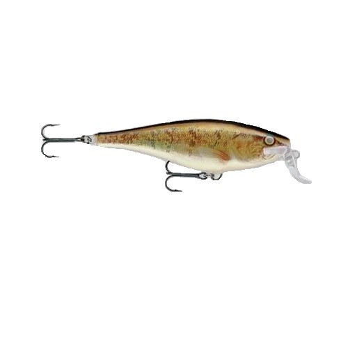 Rapala super shad rap 14cm - rapala,