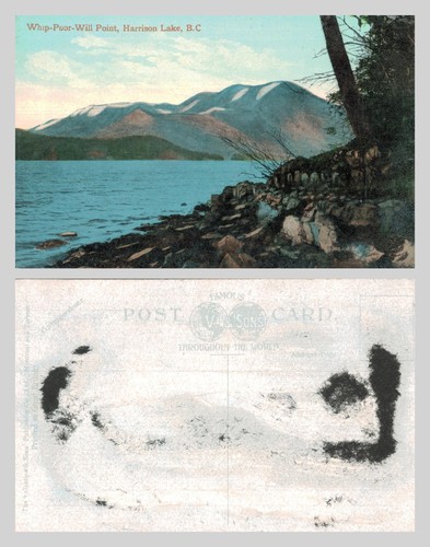 Vintage postcard - postcard,