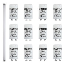 12 Pezzi Starter Neon Starter