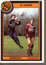 CARD PANINI FOOTBALL CARDS