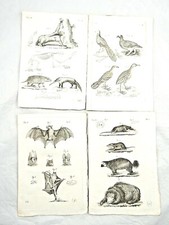 4 STAMPE ANTICHE STAMPE  IDEA